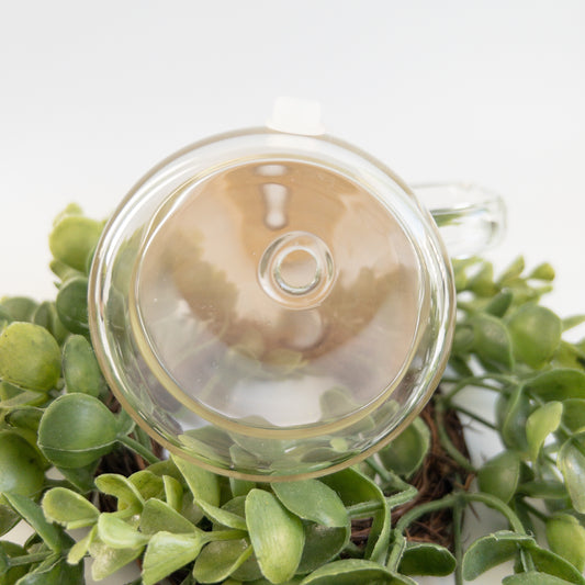 20 Ounce Pre Drilled Glass Snow Globe Mug Blanks with Bamboo Lid and Hard Plastic Straw