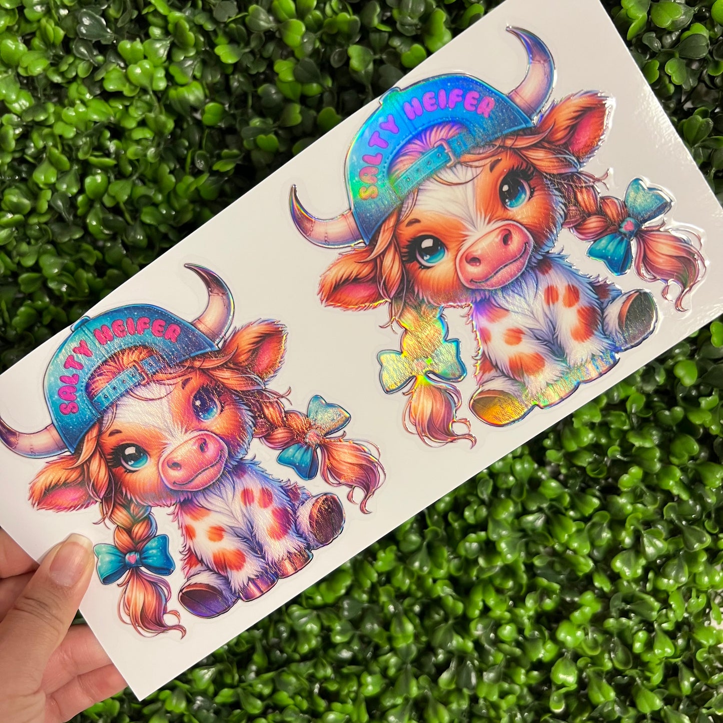 M2 Highland Cows Salty Heifer Holographic UVDTF WRAPS