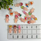 Sony Acrylic Flat Back Charms Mixed 8 pcs