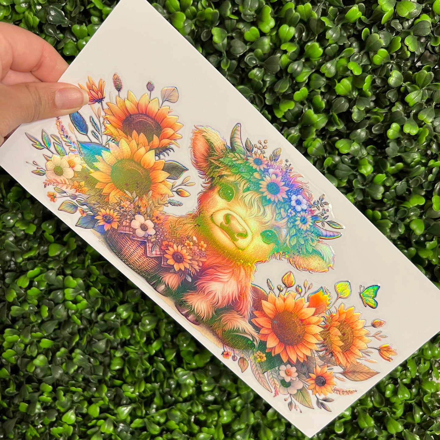 M1 Sunflower Highland Cow  Holographic UVDTF WRAPS