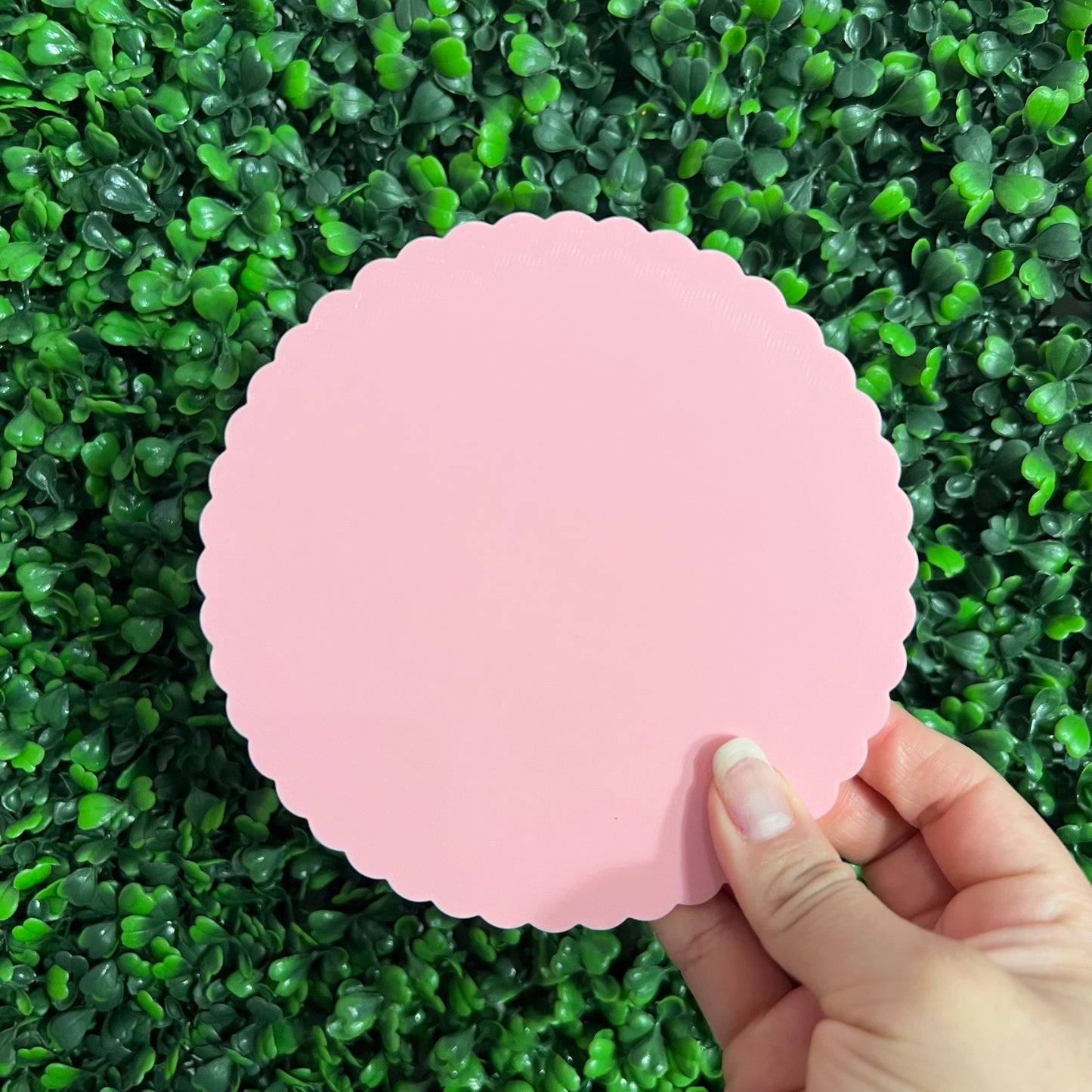 Circle Bubble Tray