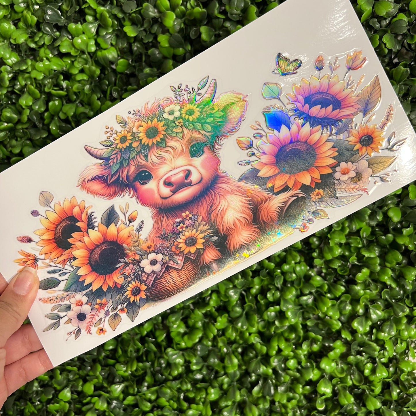 M1 Sunflower Highland Cow  Holographic UVDTF WRAPS