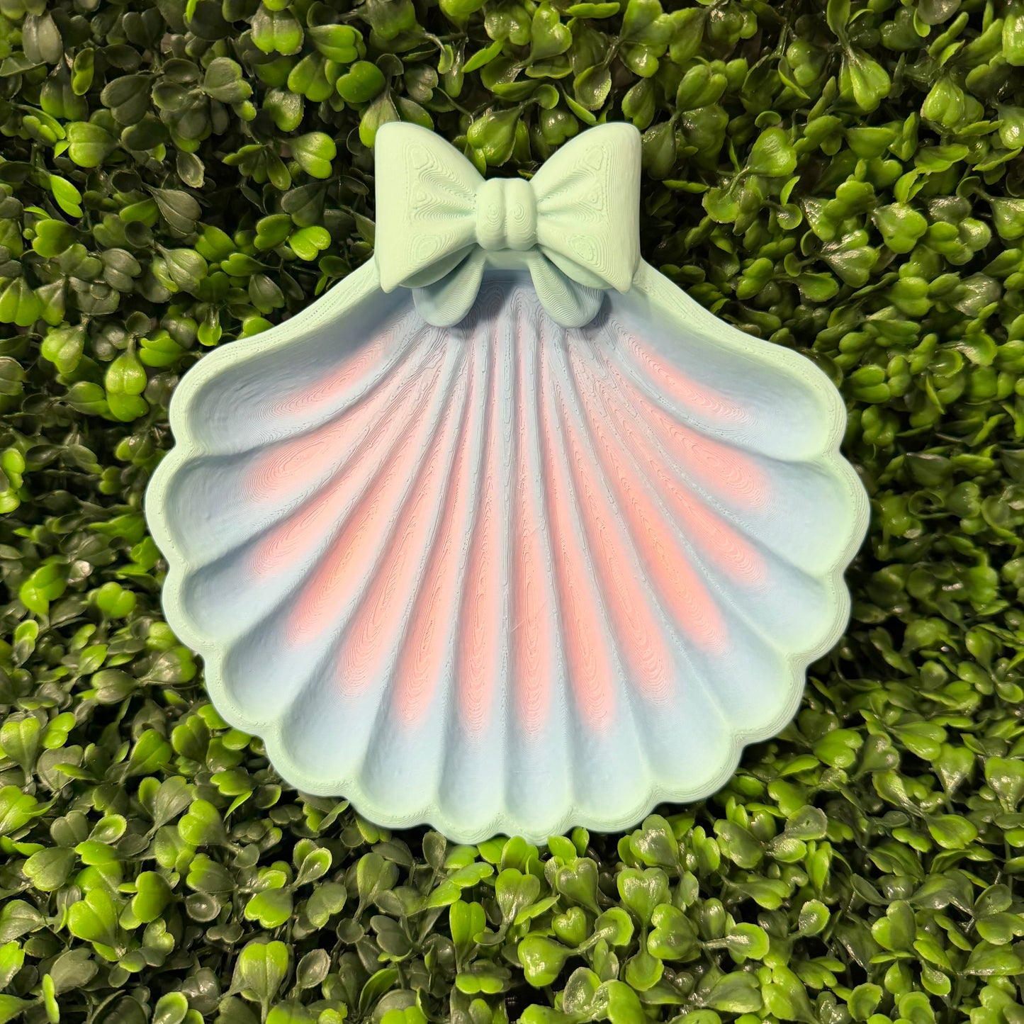 Shell Bow Tray Multi Use Tray Sold Individually