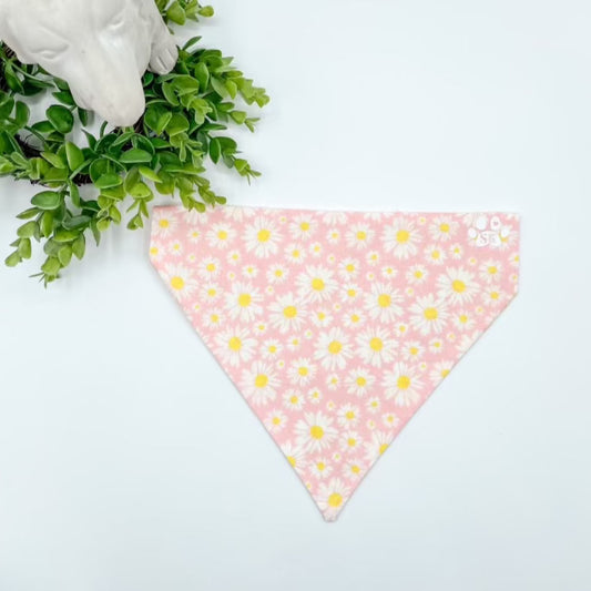 Pink Daisy Dog Bandana Over The Collar