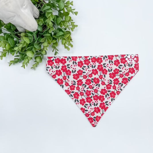 Red Floral Dog Bandana Over The Collar