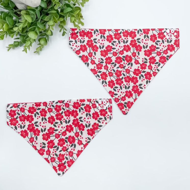 Red Floral Dog Bandana Over The Collar
