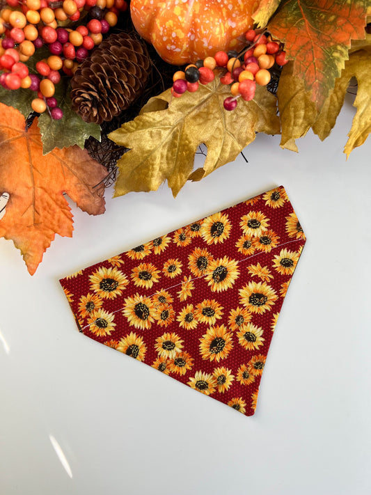 Sunflowers- Over The Collar Dog Bandanas