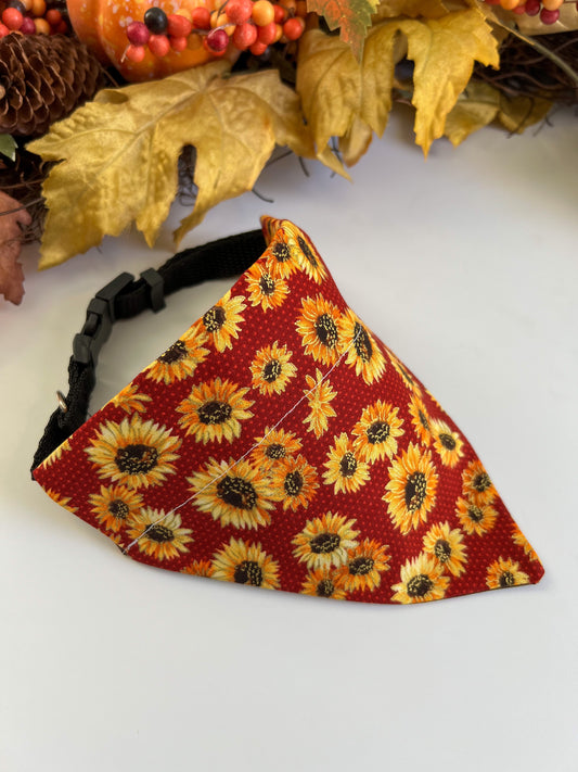 Sunflowers- Over The Collar Dog Bandanas