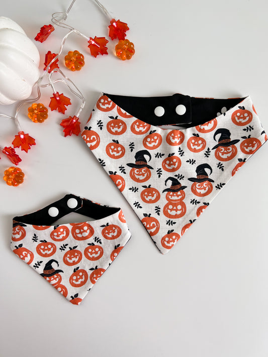 Pumpkins- Dog Bandana with Snap Ons